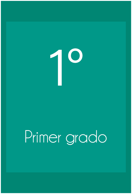 Panamerican School - Primer Grado 2024