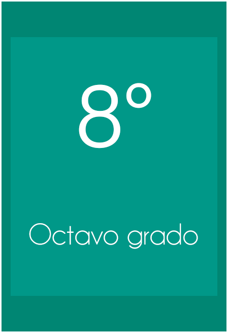 Panamerican School - Octavo Grado 2024