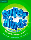 Super Minds American English Workbook 2