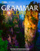 GRAMMAR EXPLORER LEVEL 3 SPLIT B