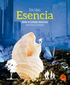Esencia. Diseño de espacios para potenciar el aprendizaje y la creatividad