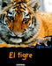 El tigre