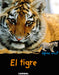 El tigre