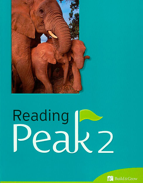 Reading Peak 2 with workbook and CD