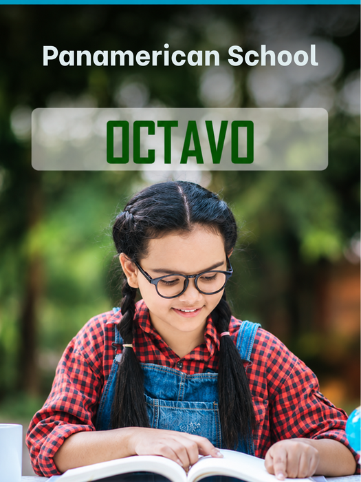 Panamerican School 8vo Grado