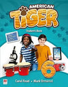 AMERICAN TIGER STBK 6 PACK