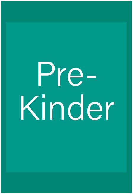 Panamerican School - Pre kinder 2024